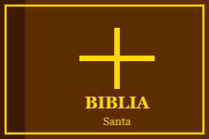 Biblia Santa Decorativa